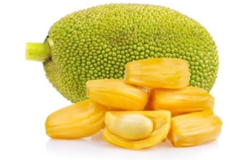 Jack Fruit